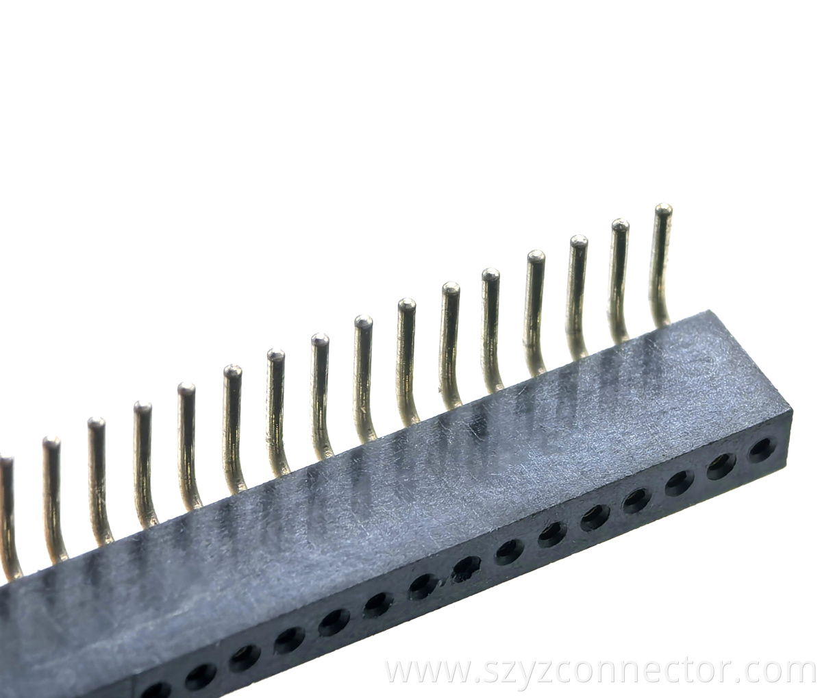 Main-04